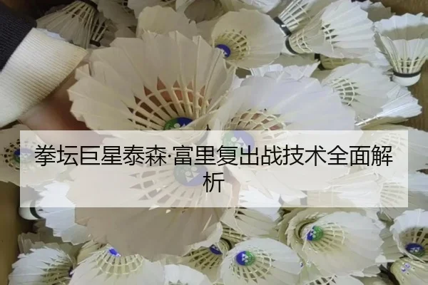 拳坛巨星泰森·富里复出战技术全面解析 - Yion